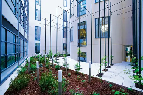 Photo — Immeuble Figaro, 2008 : Rénovation de 2008